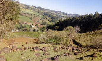 Imagem 5: Área Rural para Venda