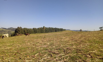 Imagem 4: Área Rural para Venda