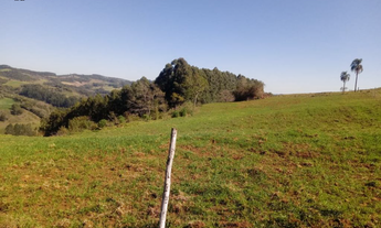 Imagem 7: Área Rural para Venda