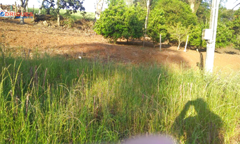 Imagem 6: Chácara para venda na Linha São Roque!!!