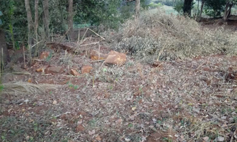 Imagem 6: Chácara para Venda