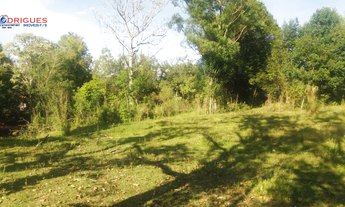 Imagem 4: Ótima Chácara entre linha Alvorada e Presidente Juscelino