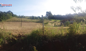 Imagem 6: Ótima Chácara entre linha Alvorada e Presidente Juscelino