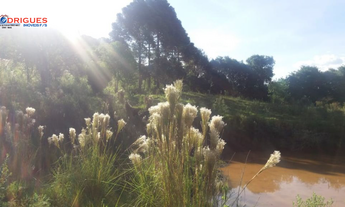 Imagem 2: Ótima Chácara entre linha Alvorada e Presidente Juscelino