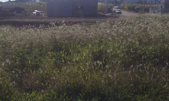 Imagem 2: Terrenos no loteamento Araucária Park