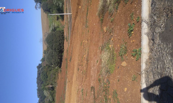 Imagem 6: Terrenos no loteamento Araucária Park