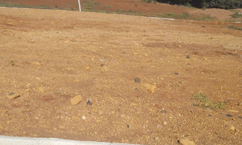 Imagem 7: Terrenos no loteamento Araucária Park