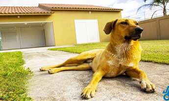 Imagem: Casa no Laranjal, Pelotas/RS