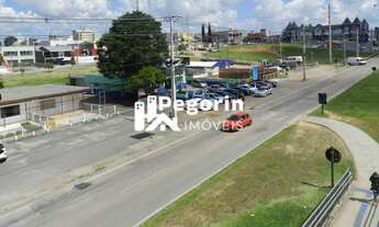 Imagem: Terreno em Eucalíptos, Fazenda Rio Grande/PR