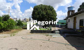 Imagem 7: Terreno em Eucalíptos, Fazenda Rio Grande/PR