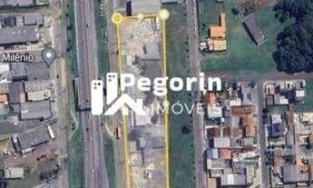 Imagem 2: Terreno em Eucalíptos, Fazenda Rio Grande/PR