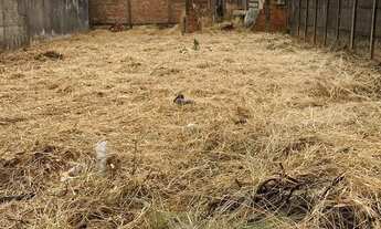 Imagem 2: TERRENO RESIDENCIAL E/OU COMERCIAL SÃO FRANCISCO, SÃO JOSÉ DO RIO PRETO