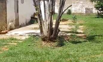 Imagem 2: TERRENO VILA ERCÍLIA, SÃO JOSÉ DO RIO PRETO - TE682