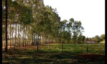 Imagem: CHÁCARA EM TALHADO - CH00071