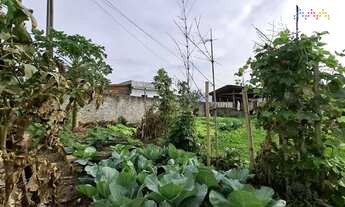 Imagem 6: Casa à venda no bairro Perrixil - Laguna/SC