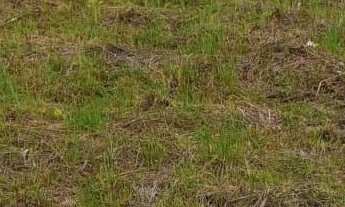 Imagem: Terreno à venda no bairro Praia do Sol
