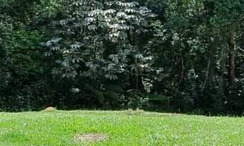 Imagem: Terreno plano FUNDO PARA MATA