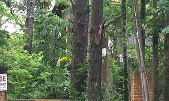 Imagem 6: Terreno Lote para Venda em Maria Mercedes Santana de Parnaíba-SP