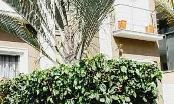 Imagem: VISTA PARA MATA