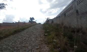 Imagem: Terreno Lote em São Luiz, Ribeirão das