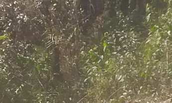 Imagem 4: Condomínio Beira Corgo - Terreno Terreno em Jardim Verona, Ribeirão das Neves/MG