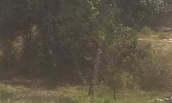 Imagem: Condomínio Beira Corgo - Terreno Terreno