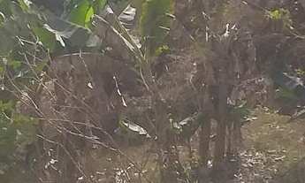 Imagem 2: Condomínio Beira Corgo - Terreno Terreno em Jardim Verona, Ribeirão das Neves/MG