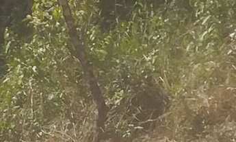 Imagem 5: Condomínio Beira Corgo - Terreno Terreno em Jardim Verona, Ribeirão das Neves/MG