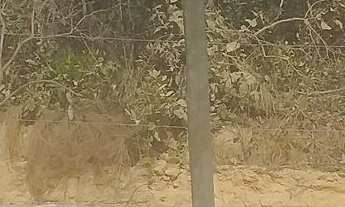 Imagem 6: Condomínio Beira Corgo - Terreno Terreno em Jardim Verona, Ribeirão das Neves/MG