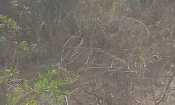 Imagem 3: Condomínio Beira Corgo - Terreno Terreno em Jardim Verona, Ribeirão das Neves/MG