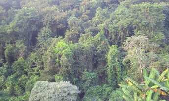 Imagem 6: Apartamento para alugar no bairro Jardim Colonial - Ribeirão das Neves/MG