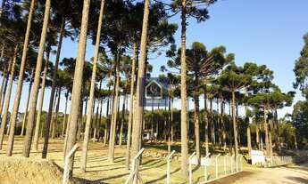 Imagem 2: Chacara com 14 mil m2 em Agudo do Sul por R$ 810.000,00