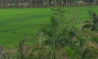 Imagem 5: Área Industrial localizada em Garuva, SC