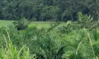 Imagem 7: Área Industrial localizada em Garuva, SC