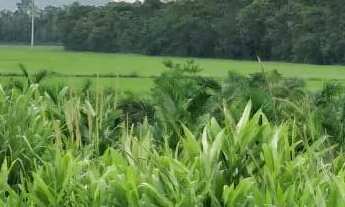 Imagem 6: Área Industrial localizada em Garuva, SC