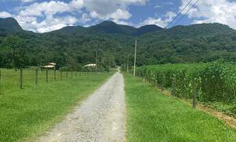 Imagem 5: Maravilhoso Sítio em Pirabeiraba, com vista espetacular do complexo de montanhas e vales