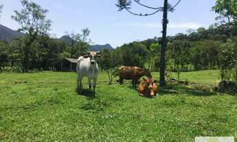 Imagem 2: Maravilhoso Sítio em Pirabeiraba, com vista espetacular do complexo de montanhas e vales
