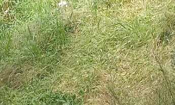 Imagem 5: Terreno 640 metros - Jardim Santa Paula - Cotia