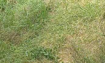 Imagem 6: Terreno 640 metros - Jardim Santa Paula - Cotia