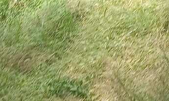 Imagem 4: Terreno 640 metros - Jardim Santa Paula - Cotia