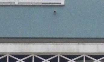 Imagem: Sobrado Padrão para Venda em Centro Campo