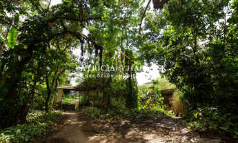 Imagem 3: Fazenda Santa Clara