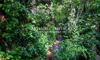 Imagem 6: Fazenda Santa Clara