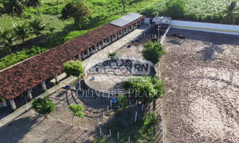 Imagem: Júnior Creci 4745 - 84 99922.4172 - Haras