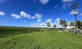 Imagem 6: Júnior Creci 4745 SU - 84 99922.4172 - Fazenda c/ 37 hectares - R$ 3.900.000 - Centro - Ní