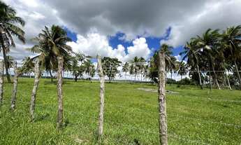 Imagem 7: Júnior Creci 4745 SU - 84 99922.4172 - Fazenda c/ 37 hectares - R$ 3.900.000 - Centro - Ní
