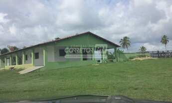 Imagem 2: Júnior Creci 4745 SU - 84 99922.4172 - Fazenda c/ 37 hectares - R$ 3.900.000 - Centro - Ní