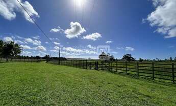 Imagem 3: Júnior Creci 4745 SU - 84 99922.4172 - Fazenda c/ 37 hectares - R$ 3.900.000 - Centro - Ní