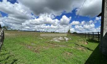 Imagem 5: Júnior Creci 4745 SU - 84 99922.4172 - Fazenda c/ 37 hectares - R$ 3.900.000 - Centro - Ní