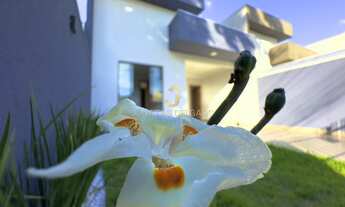 Imagem: Casa Padrão, 3 dormitórios na Rua Rio